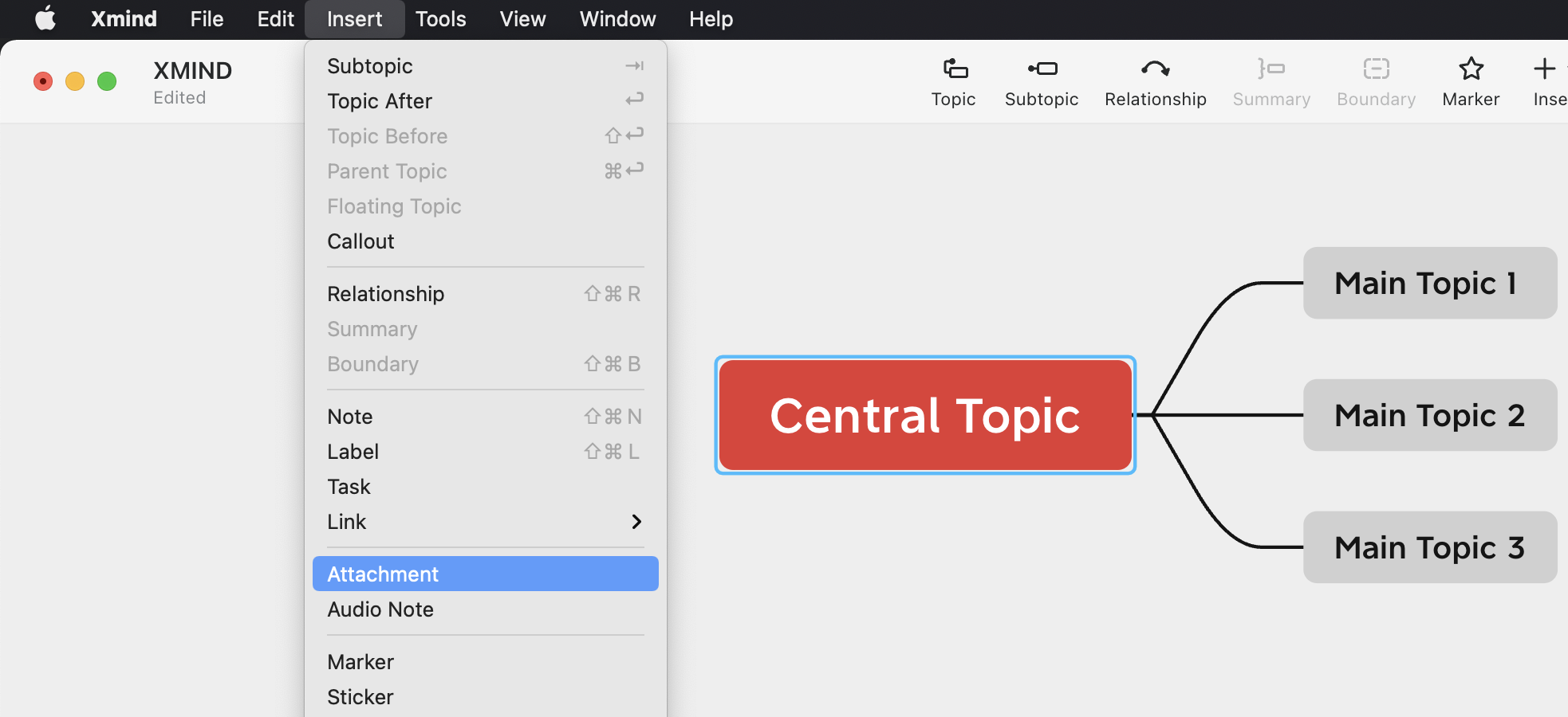 Xmind interface showing the “Insert” menu with options and a highlighted “Central Topic” in a mind map layout.