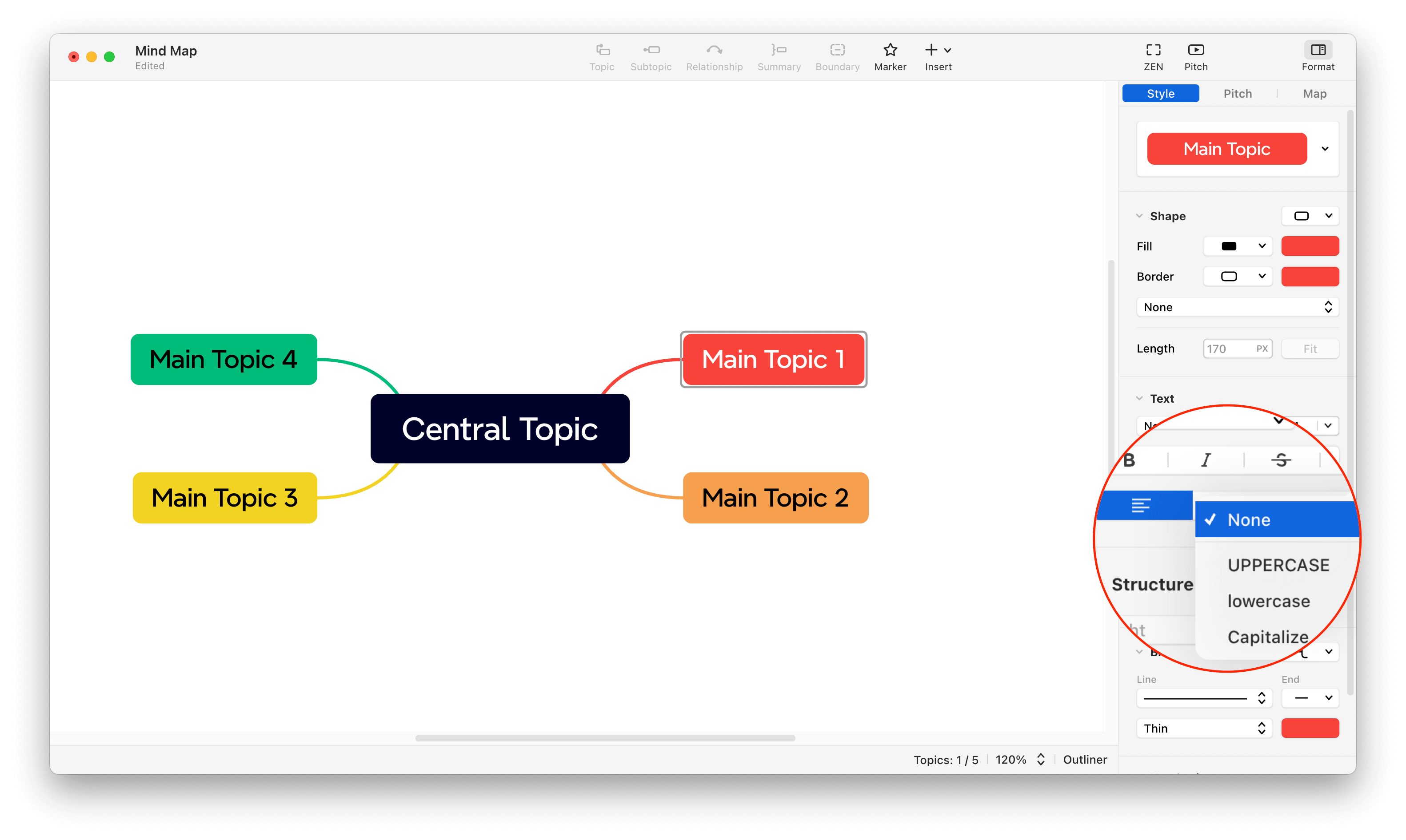 Mind map displaying a central topic with four connected main topics and style options on the right side.