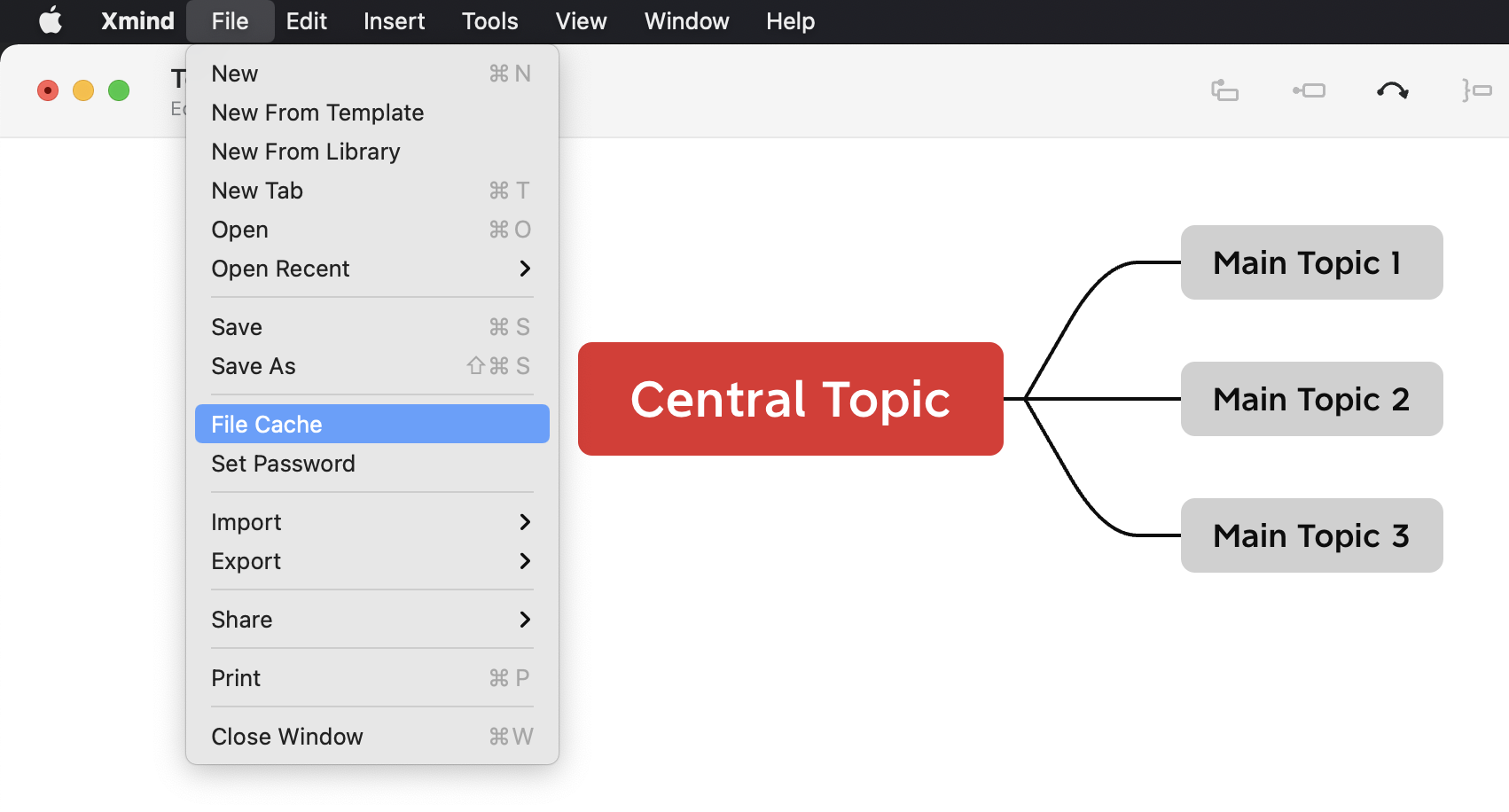 Menu options from the Xmind application with “Central Topic” and three connected main topics displayed.